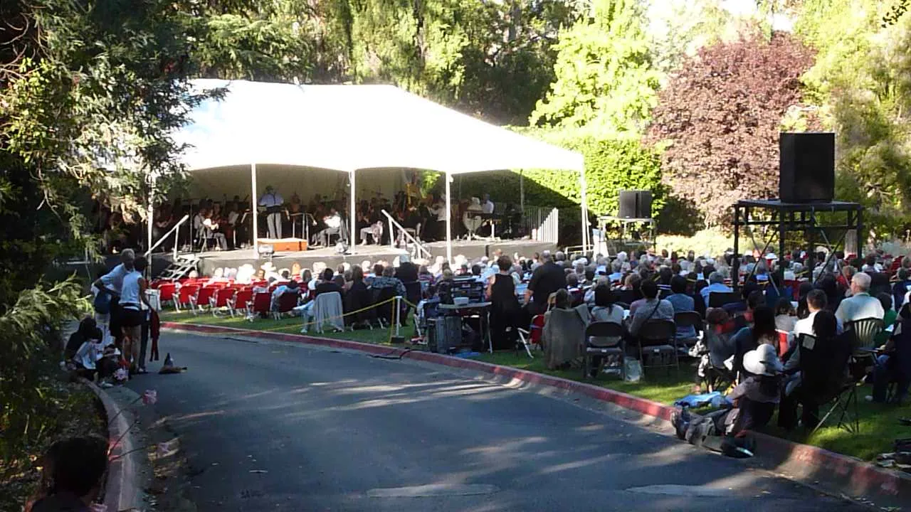 A crowd at an outdoor live music concert
