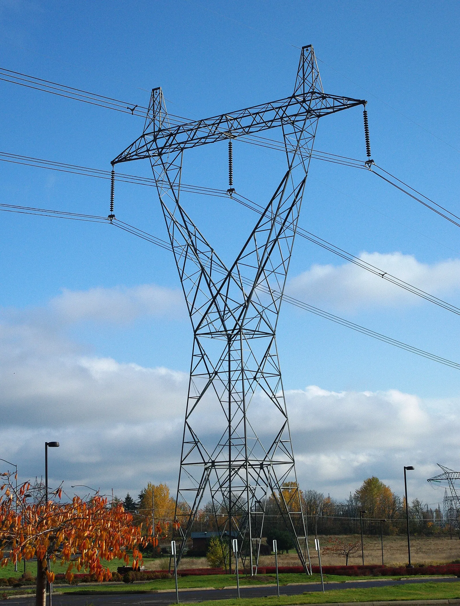 High-voltage electricity transmission towers and lines
