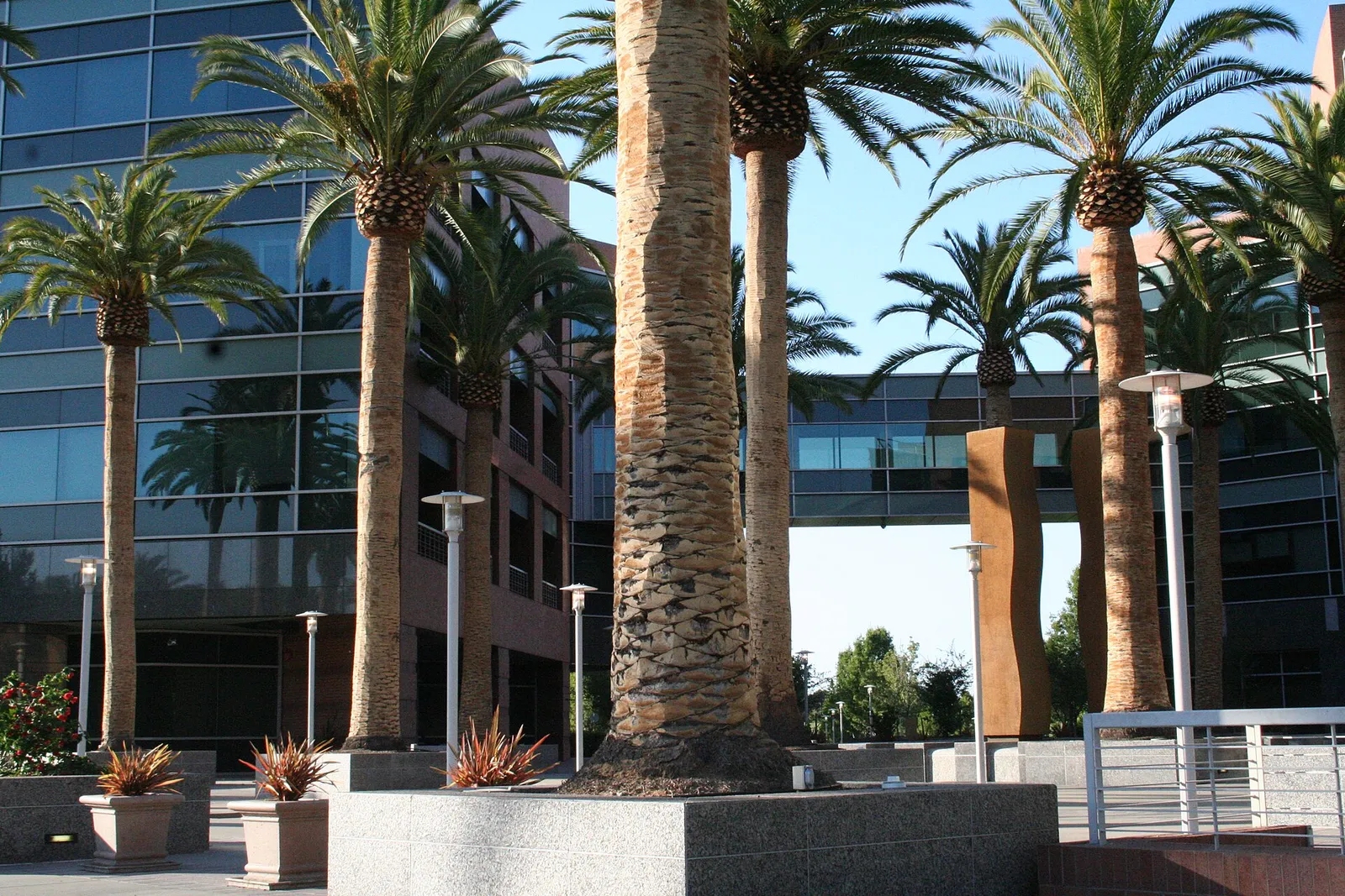Google's campus in Mountain View, California