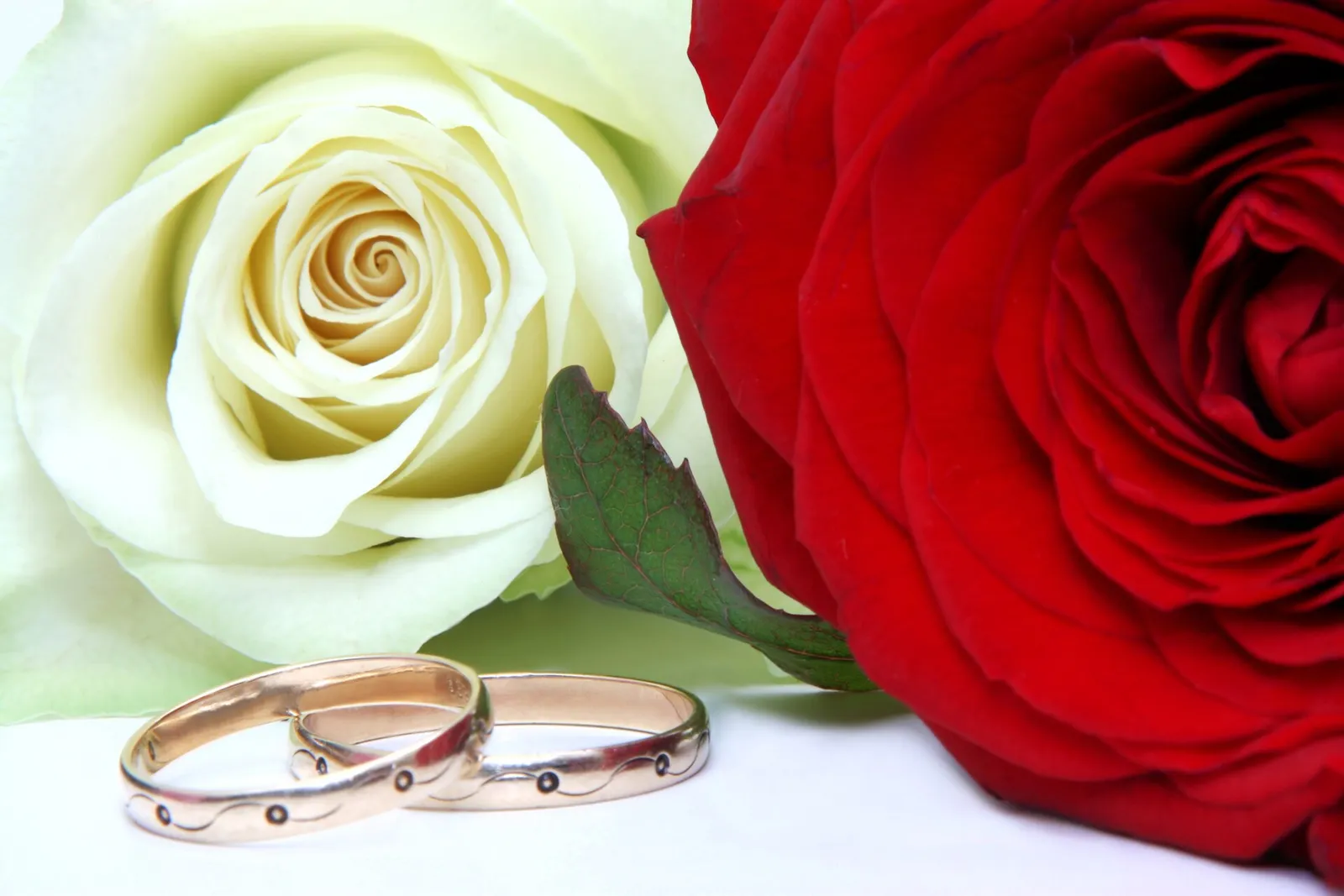 Wedding rings