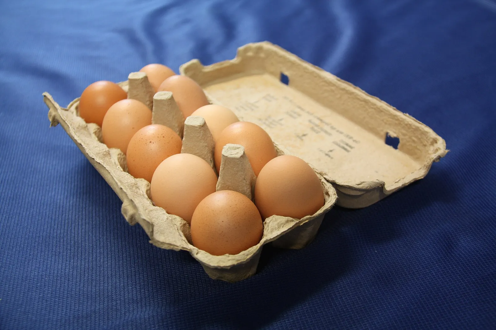 A carton of eggs