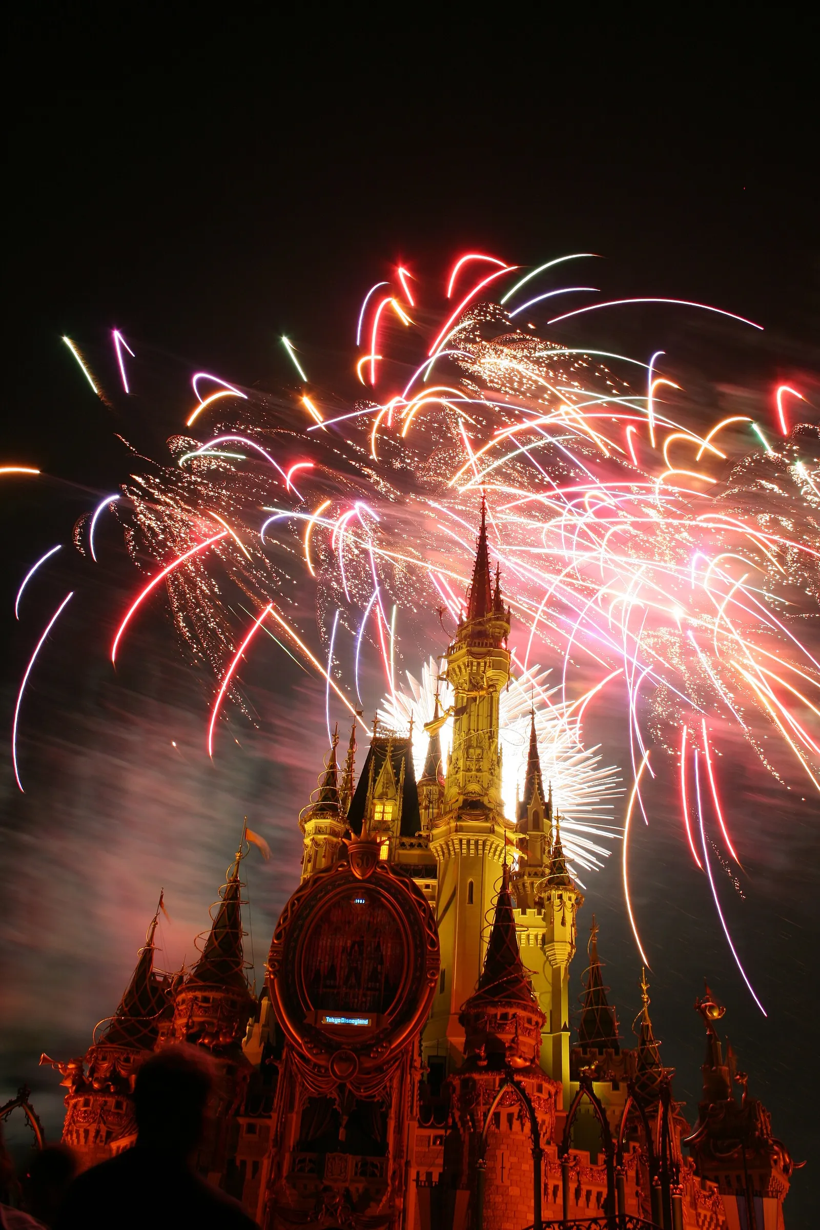 Fireworks over a Walt Disney World castle