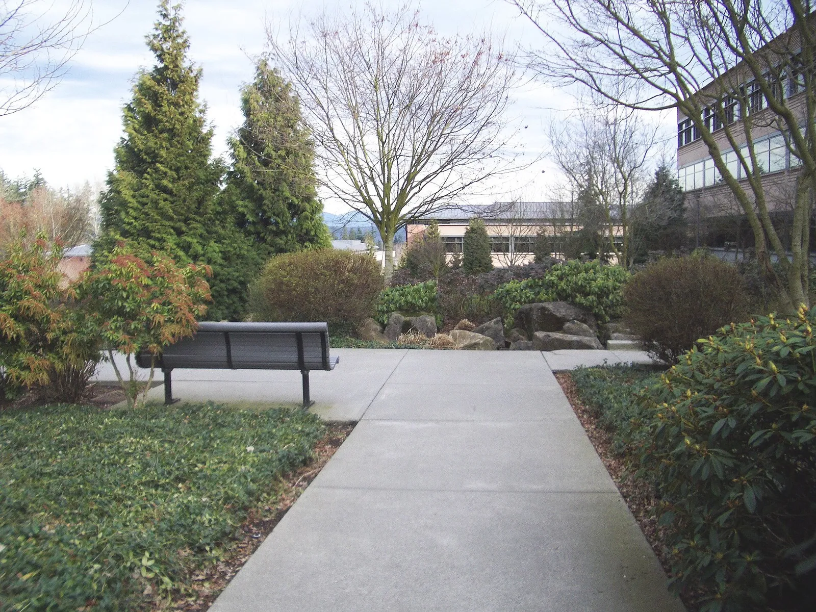 Microsoft's corporate campus