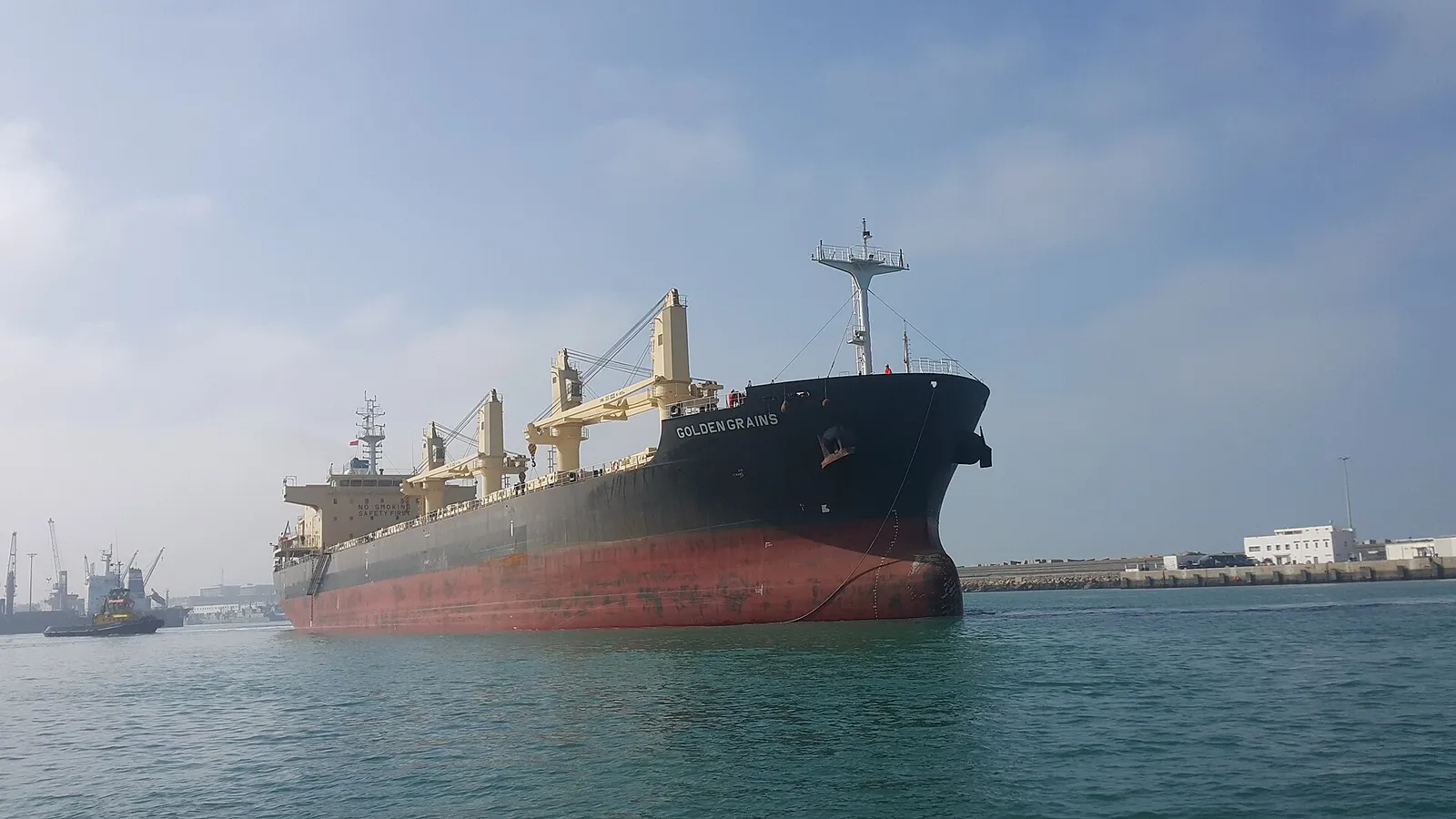A grain bulk-carrier ship at port