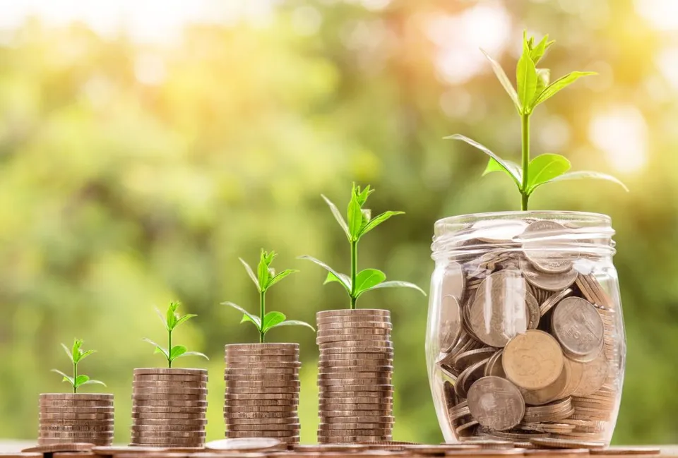 Stacks of coins with small plants, representing growing savings