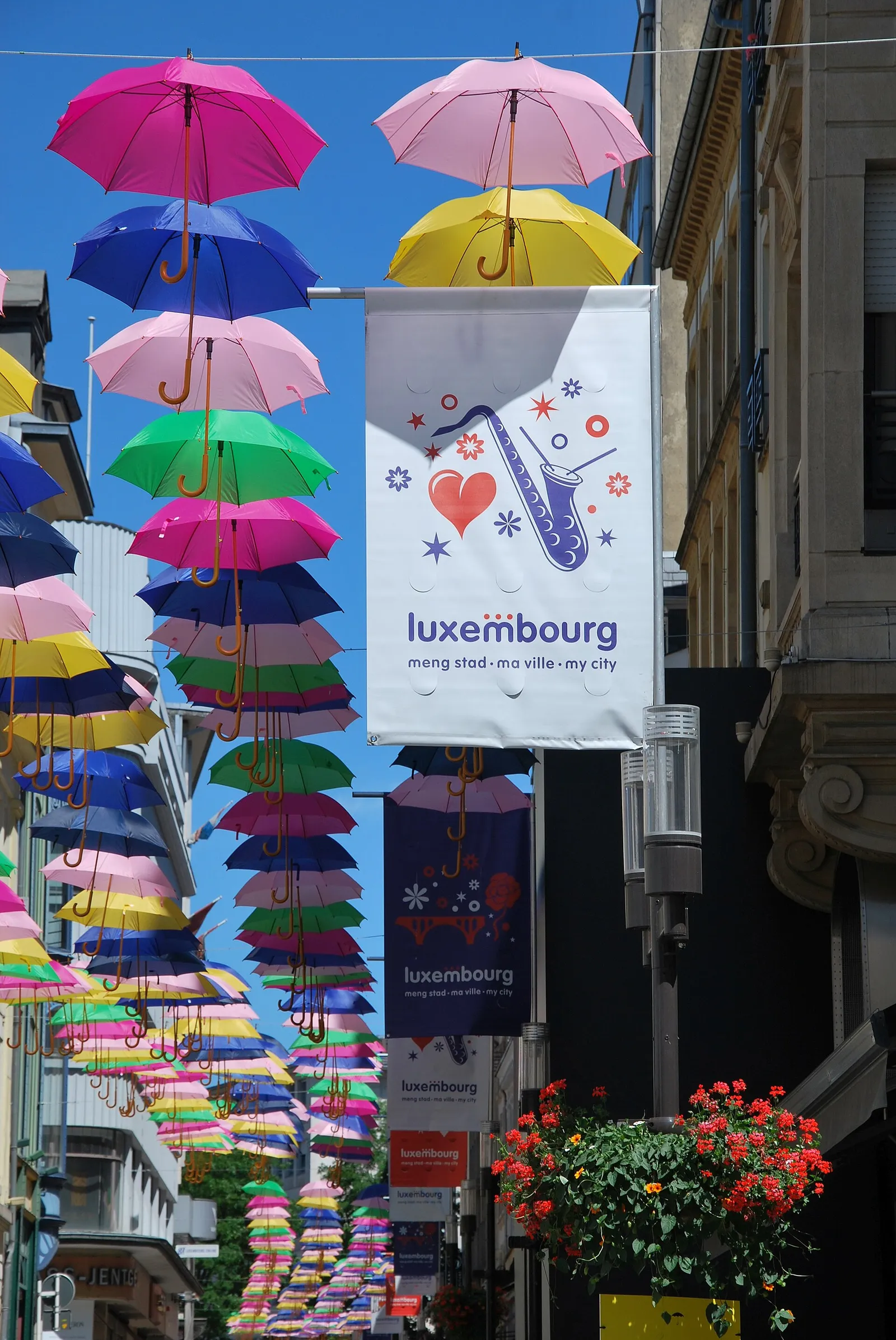 Colorful umbrellas suspended over a street