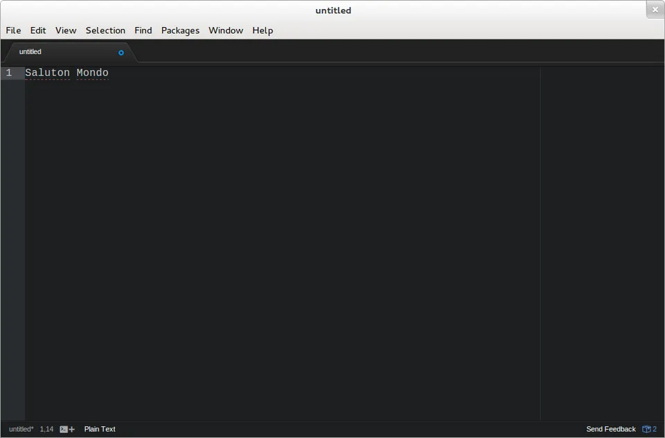 Source code open in a code editor