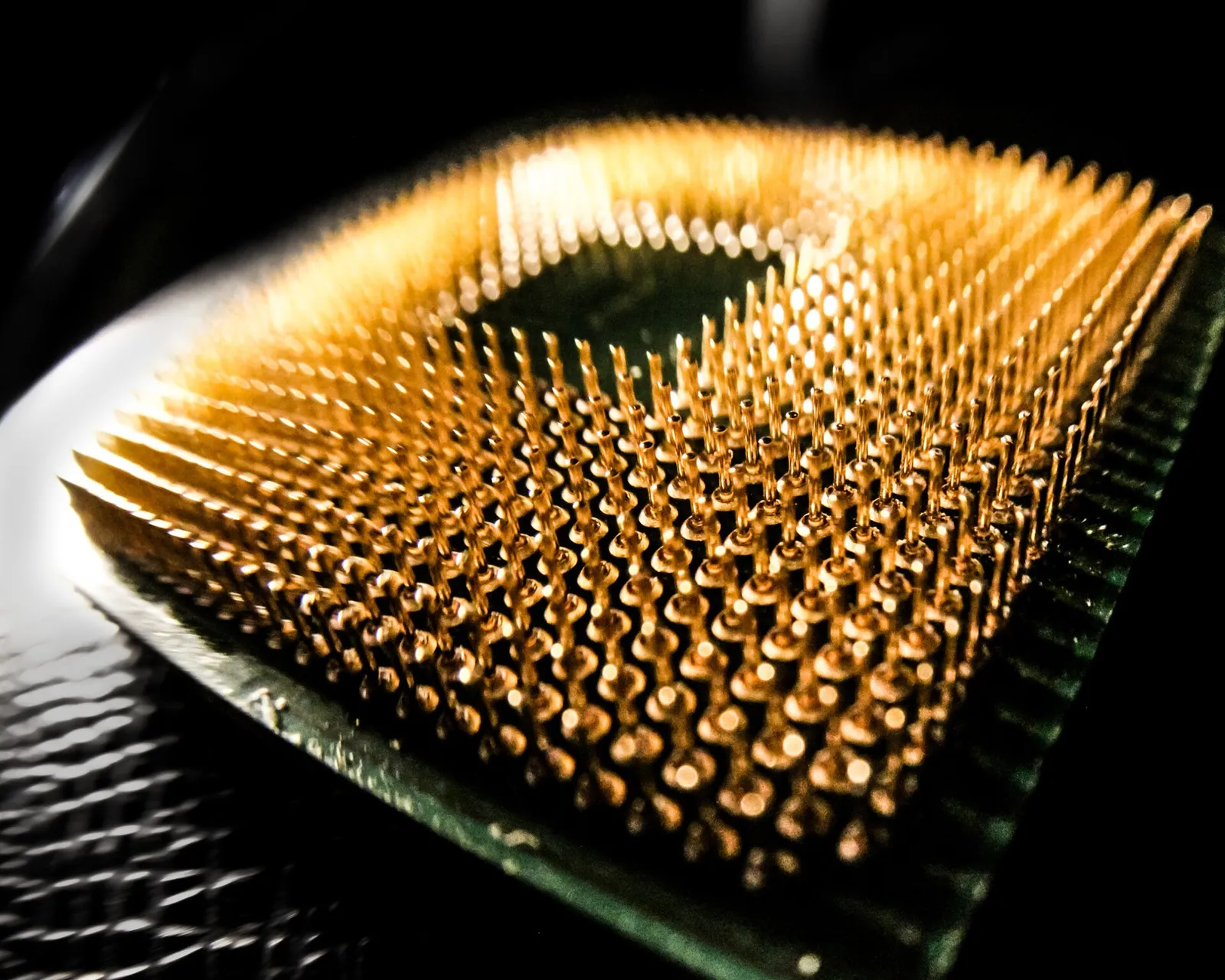 The underside of a computer processor chip