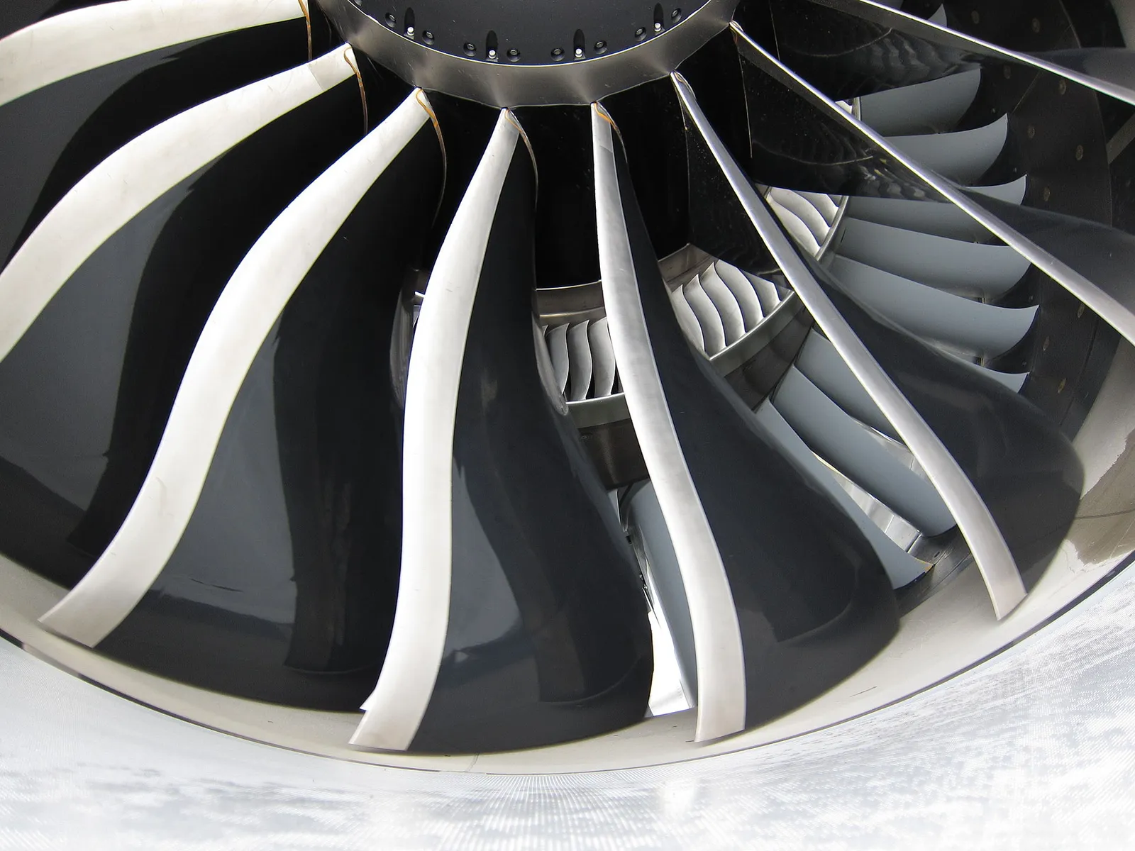 Fan blades inside a jet engine