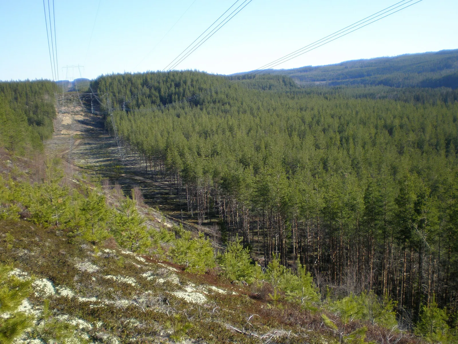 High-voltage transmission lines crossing open country