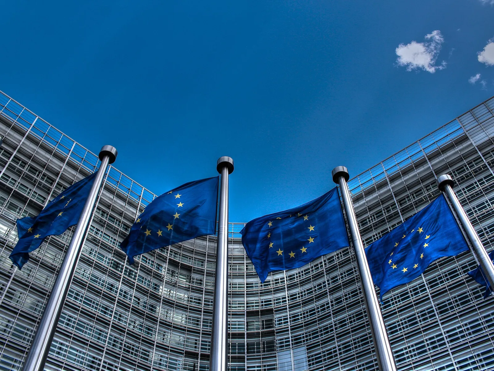 European Union flags