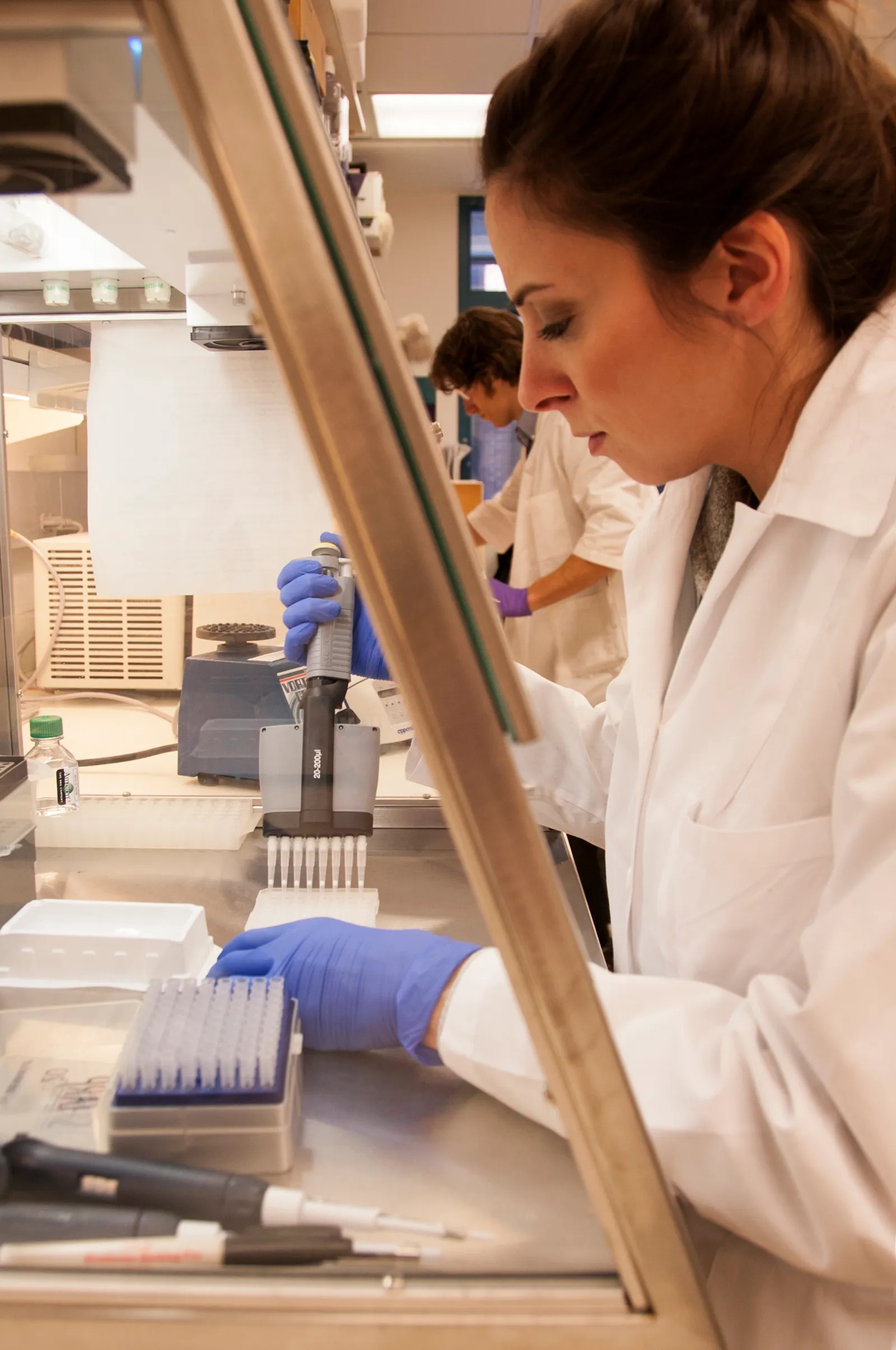 A scientist working in a pharmaceutical research laboratory