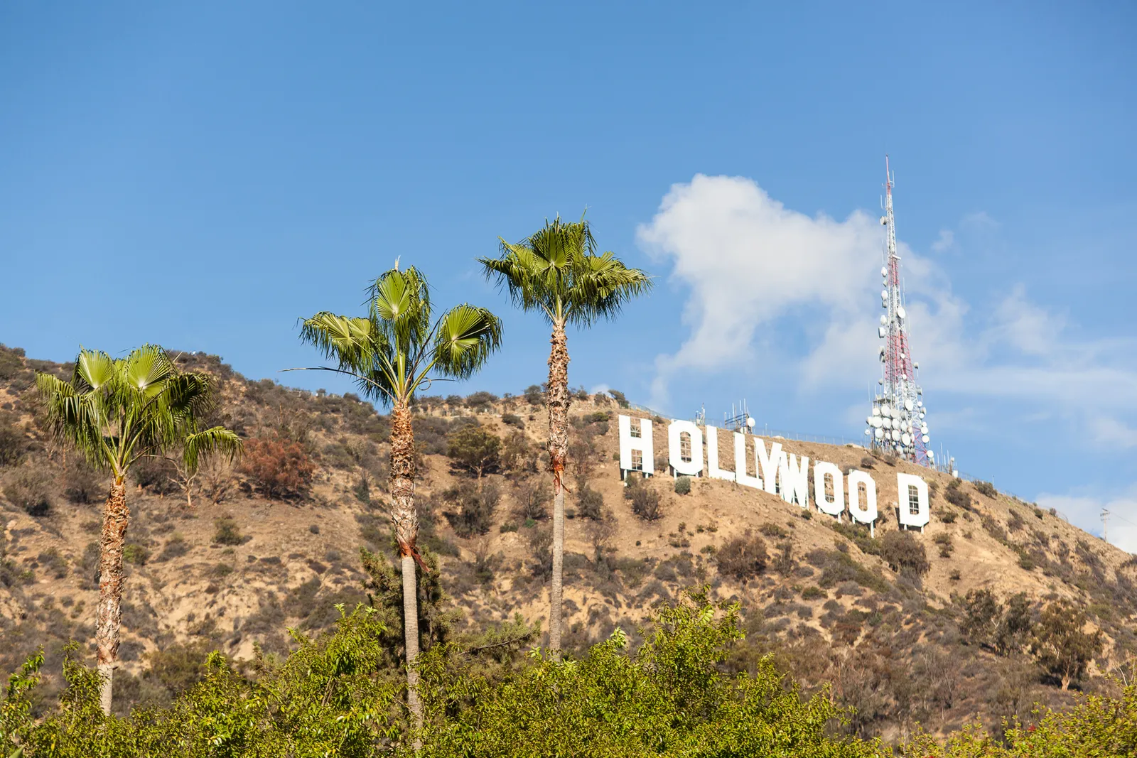 The Hollywood Sign in Los Angeles