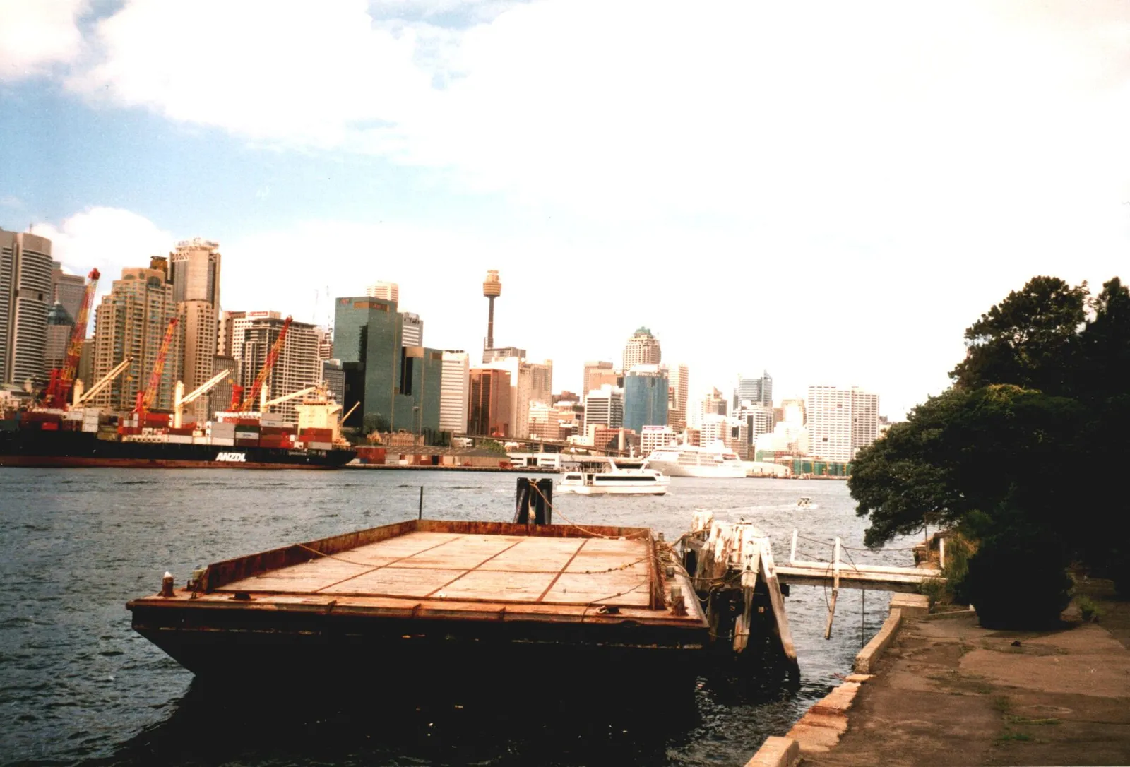 The Sydney skyline