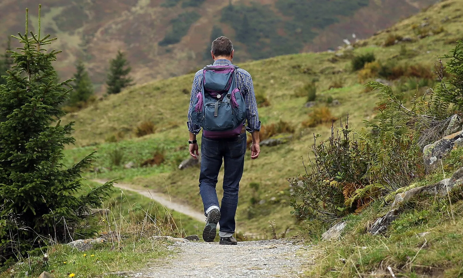 A hiker on a mountain trail