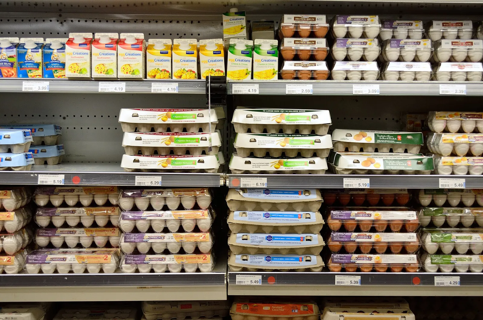 Cartons of eggs in a grocery store